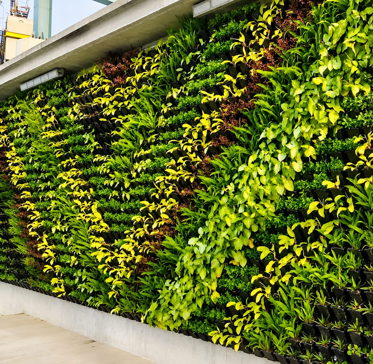 Vertical Garden